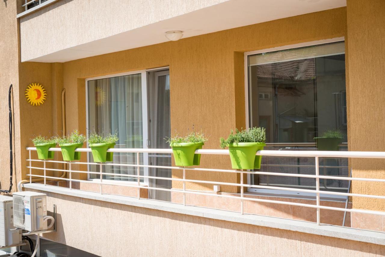 Appartamento Sea Grape Wine Flat In Old Center *